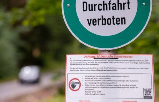 Bijna 15.000 uitbraken van Afrikaanse varkenspest in anderhalf jaar tijd