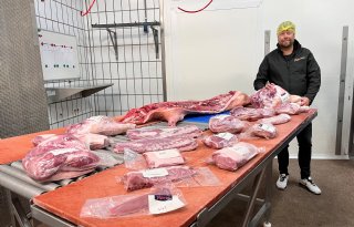 Duurzame biggenslachterij zet poorten middagje open