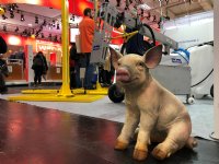 EuroTier van start met meer dan 2.000 exposanten uit 51 landen