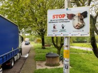 Uitbraak Afrikaanse varkenspest in Hessen door insleep uit Oost-Europa