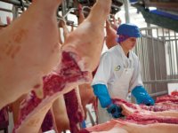 Minder varkensvlees vanuit Europese Unie geëxporteerd