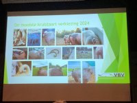 VBV reikt voor het eerst een award voor de mooiste krulstaart uit