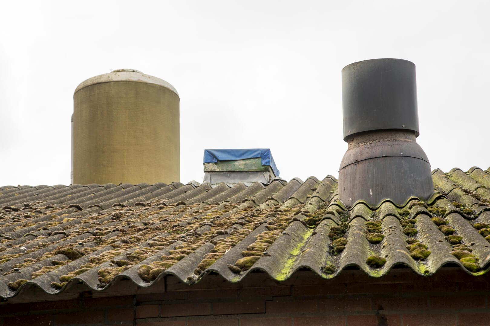 De dakplaten van asbest liggen er nu nog op. Maar binnenkort gaat het dak eraf en komen er golfplaten en zonnepanelen voor terug. 