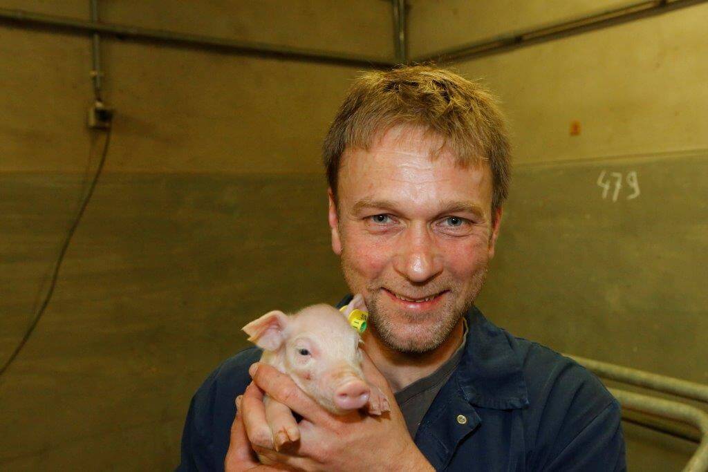 Jan Jaap Huisman is bedrijfsleider op het varkensbedrijf van Schothorst Feed Research, dat naast voedingsonderzoek ook proefbedrijf is voor Topigs Norsvin. 