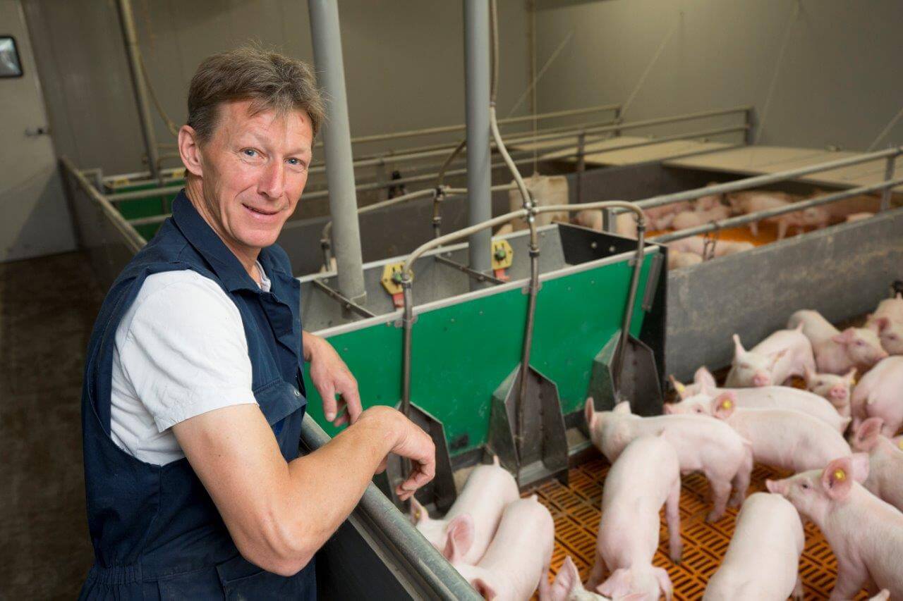 Wim van Vulpen is blij dat hij op een economisch rendabele manier heeft kunnen werken aan het verbeteren van de bigkwaliteit door extra opfokplaatsen te crëeren in de vleesvarkensstal. Ook kan hij zijn klanten op maat bedienen. Het bedrijfsrendement is erdoor gestegen. 