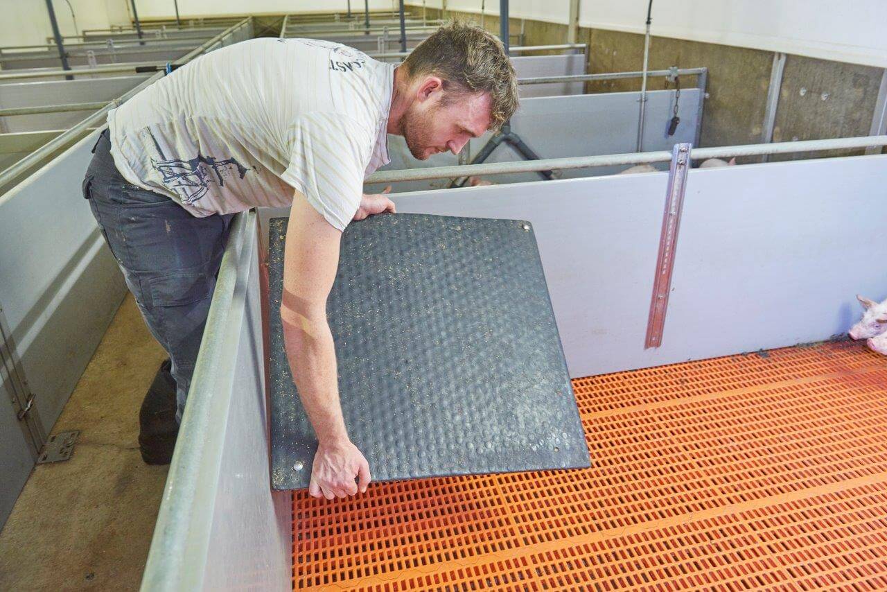 Voor de opleg van de pas gespeende biggen legt Van Lipzig een rubberen mat in elk opfokhok. Naast een ruimtetemperatuur van circa 30 graden geeft dit de biggen een stukje extra comfort. 