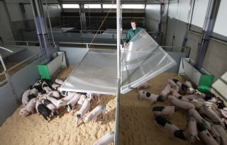 Wroetstal verlaagt uitstoot ammoniak met 80 procent