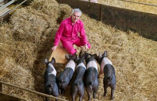 %27Varkens+vertellen+hier+hun+eigen+verhalen%27