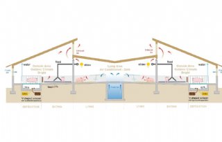 Lage ammoniakemissie haalbaar met buitenklimaat varkens