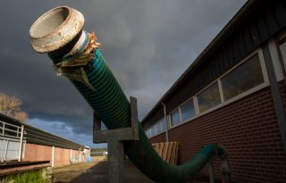 Export van mest stijgt fors in eerste drie kwartalen van 2025