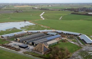 Ekovar Jan Wennekers Schagen drone beeld biologisch varkensbedrijf 