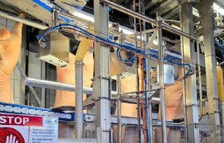 Vion scant ook varkensstaarten in Apeldoornse slachtlijn