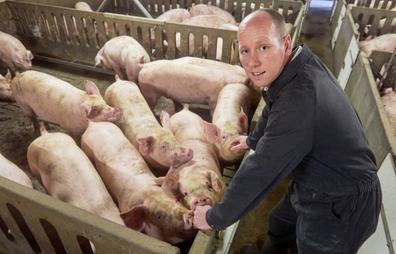 Ron van den Boomen, vleesvarkenshouder in De Rips