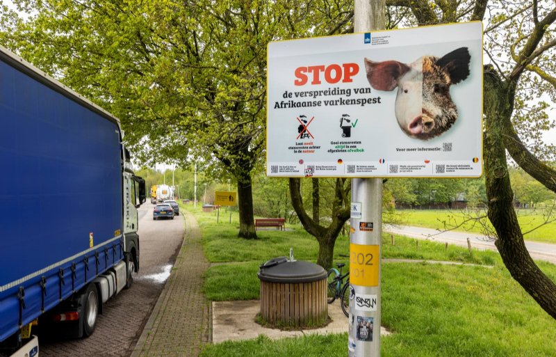 Nieuw bord 'Stop varkenspest' op een parkeerplaats.