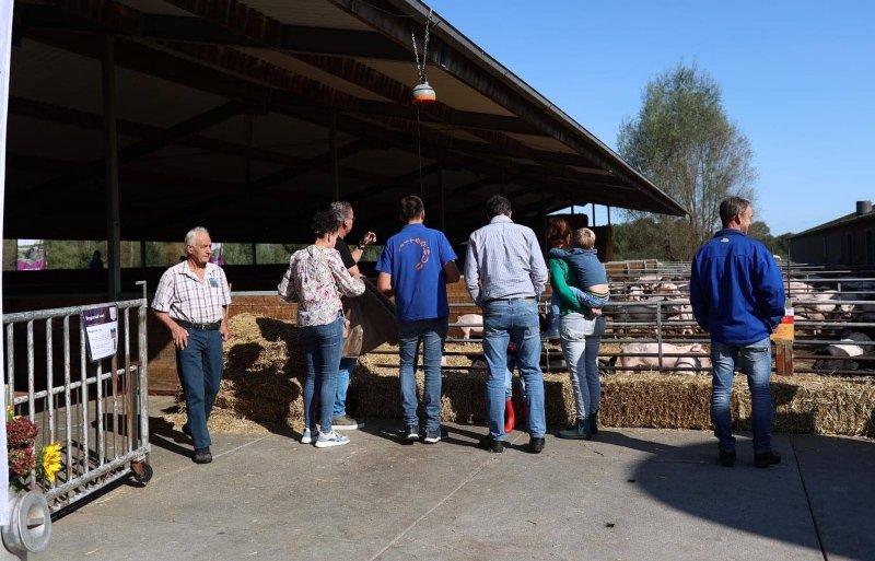 Bij de familie Hoogeveen in het Limburgse Weert waren Livar-varkens te zien.