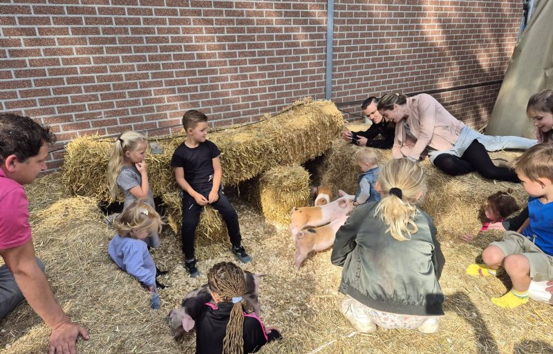 Bij de familie Meulendijks in het Brabantse Deurne konden kinderen vlak bij de biggen komen.