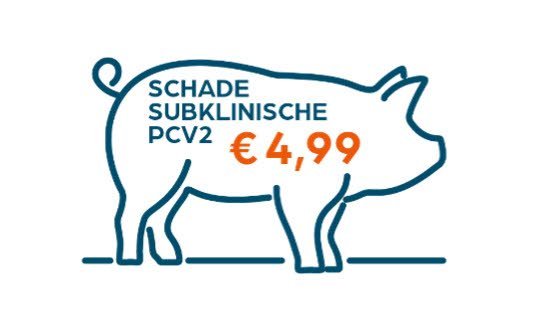 De schade van subklinische circo is berekend op 4,99 euro per big.