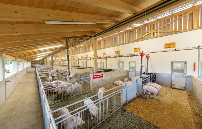 De Natureline-stal van Schauer met buitenuitloop voor varkens.