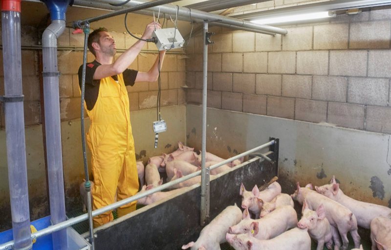 Jan Willem van Kilsdonk hangt de slimme meter goed op het bedrijf van Esther en Martijn van Oort. Met de slimme meter checken ze of het klimaat dag en nacht optimaal is voor de gespeende biggen.